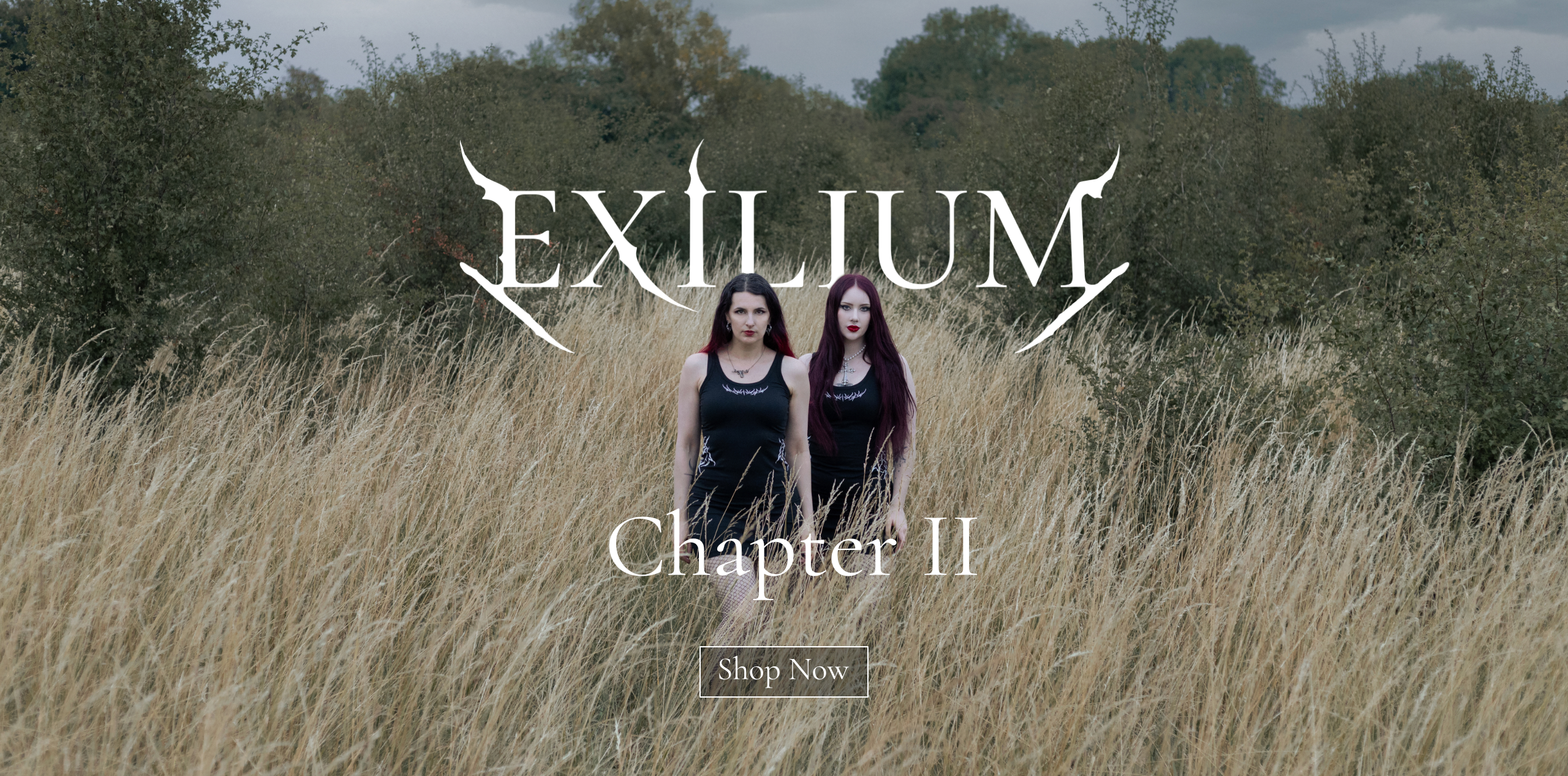 Exilium Chapter II